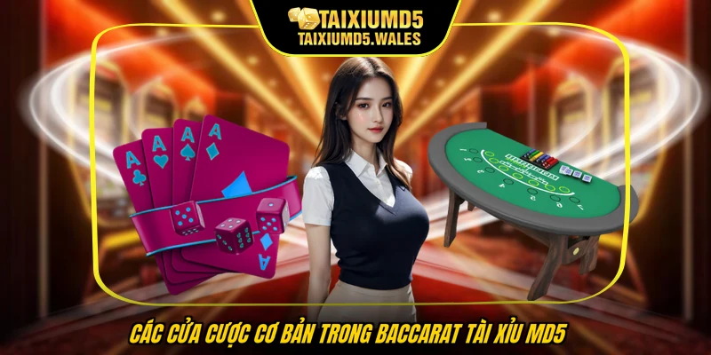 Các cửa cược cơ bản trong baccarat tài xỉu MD5