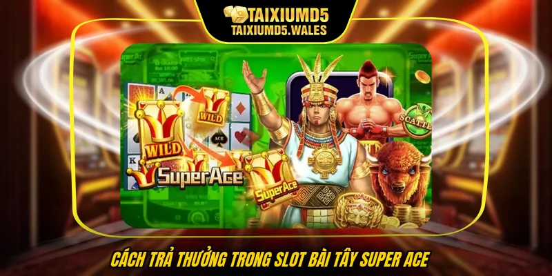 Cách trả thưởng trong slot bài tây Super Ace