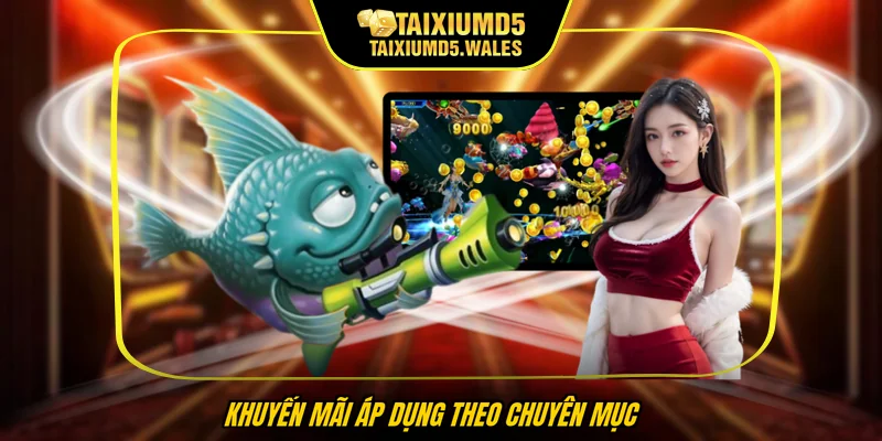  Khuyến mãi áp dụng theo chuyên mục