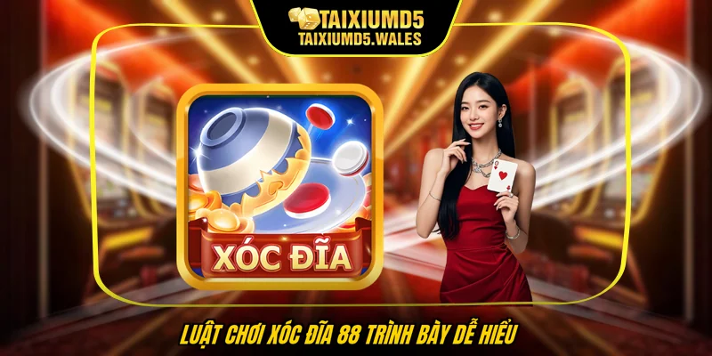 Luật chơi xóc đĩa 88 trình bày dễ hiểu