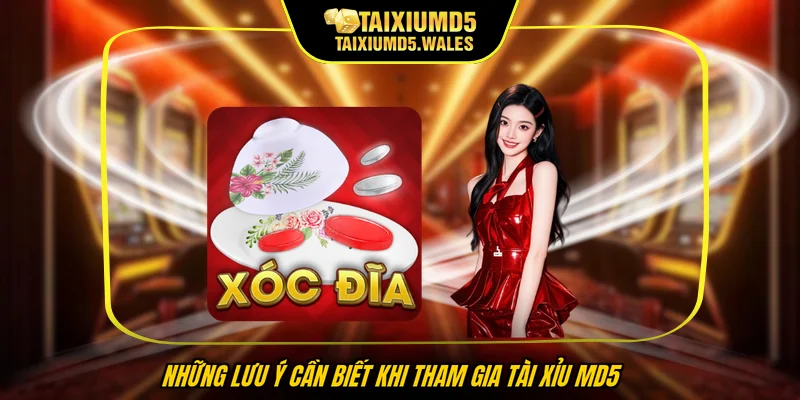 Những lưu ý cần biết khi tham gia Tài Xỉu MD5