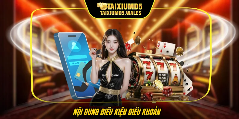 Nội dung điều kiện điều khoản