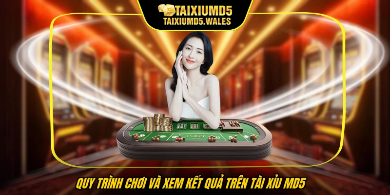 Quy trình chơi và xem kết quả trên Tài Xỉu MD5