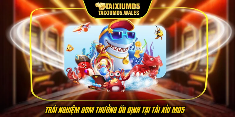 Trải nghiệm gom thưởng ổn định tại Tài Xỉu MD5