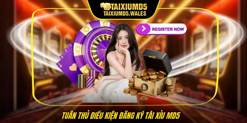 Tuân thủ điều kiện đăng ký Tài xỉu MD5