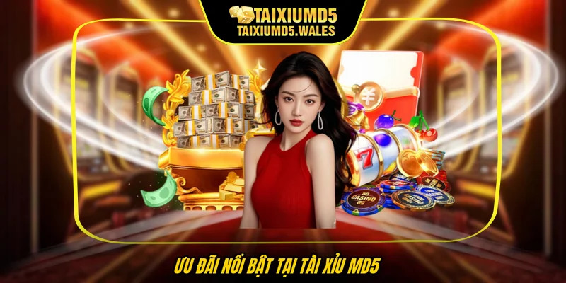 Ưu đãi nổi bật tại Tài xỉu MD5